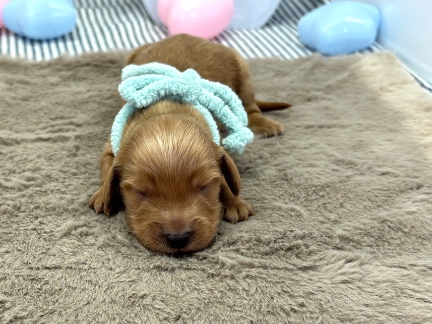 赤ちゃん写真1-1