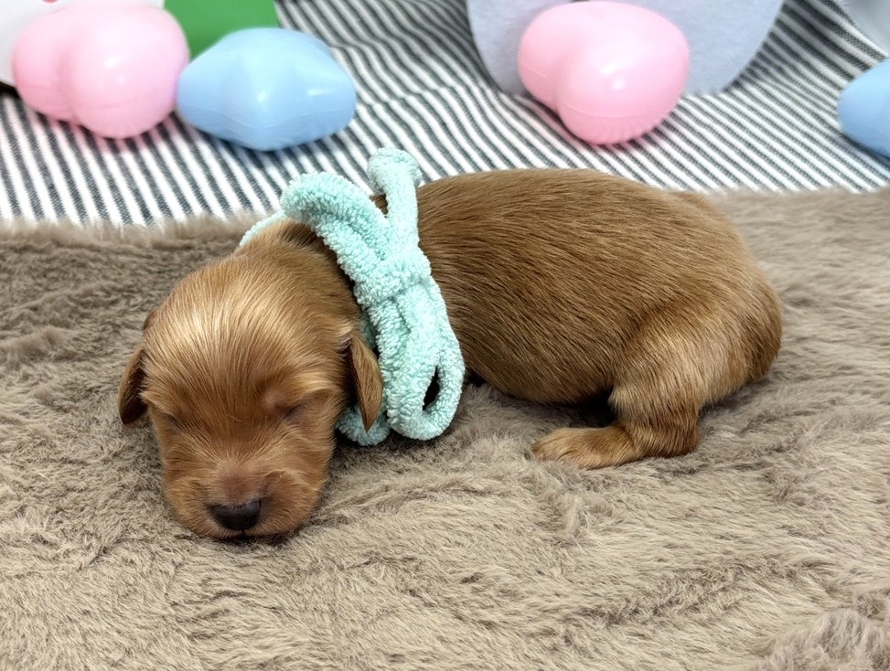 赤ちゃん写真1-2