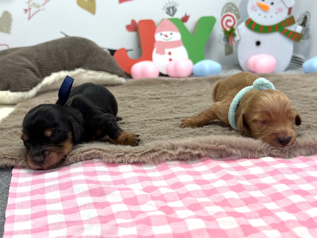 赤ちゃん写真1-3