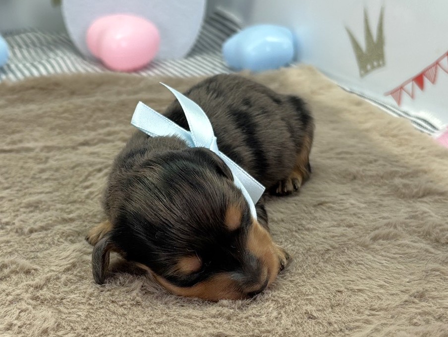 赤ちゃん写真1-1