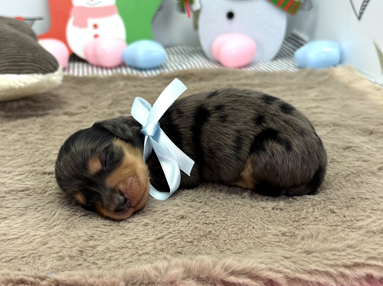 赤ちゃん写真1-2