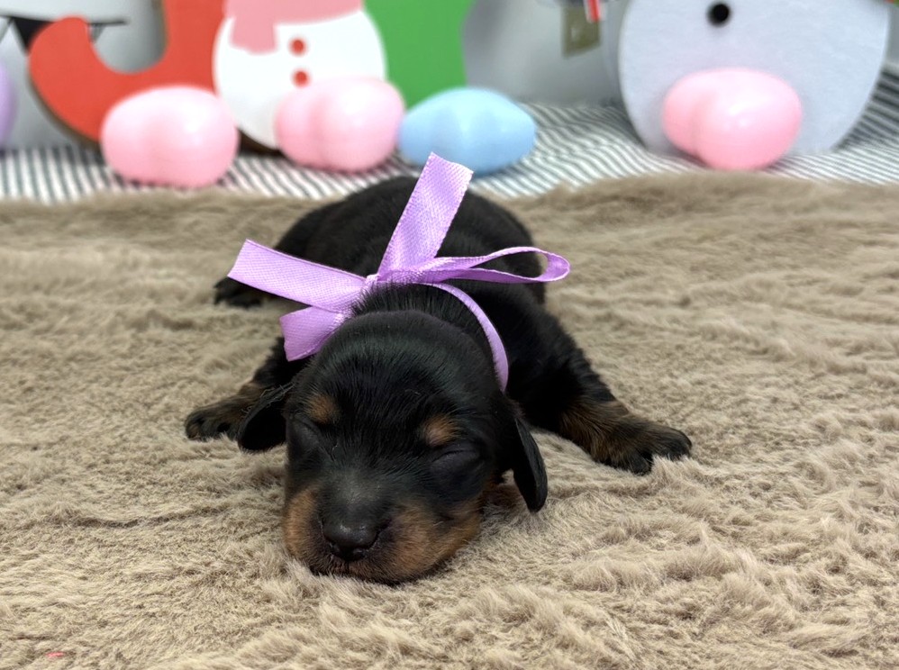 赤ちゃん写真1-1