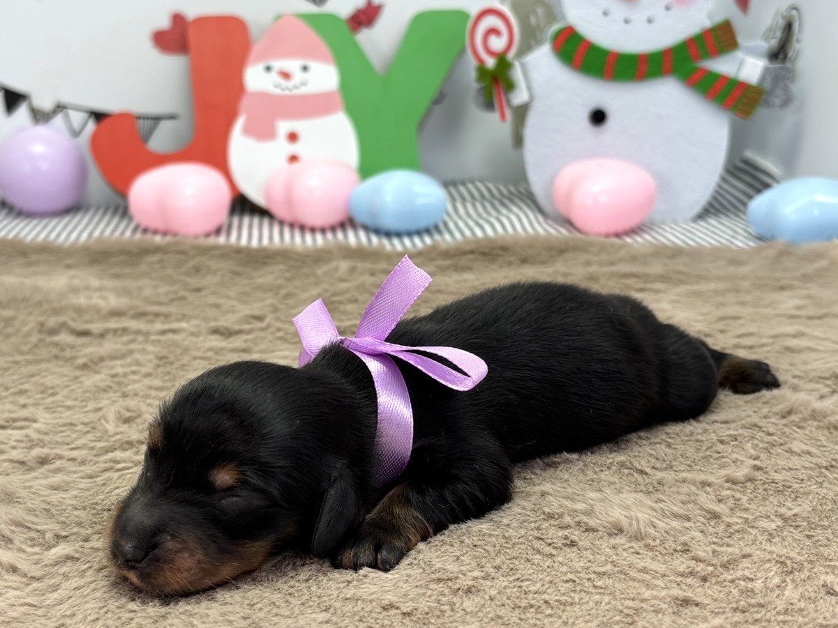 赤ちゃん写真1-2