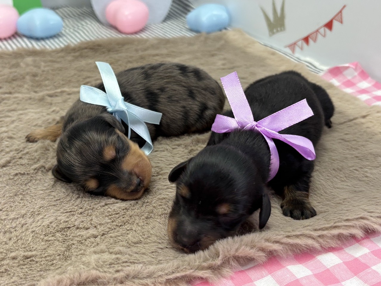 赤ちゃん写真1-3