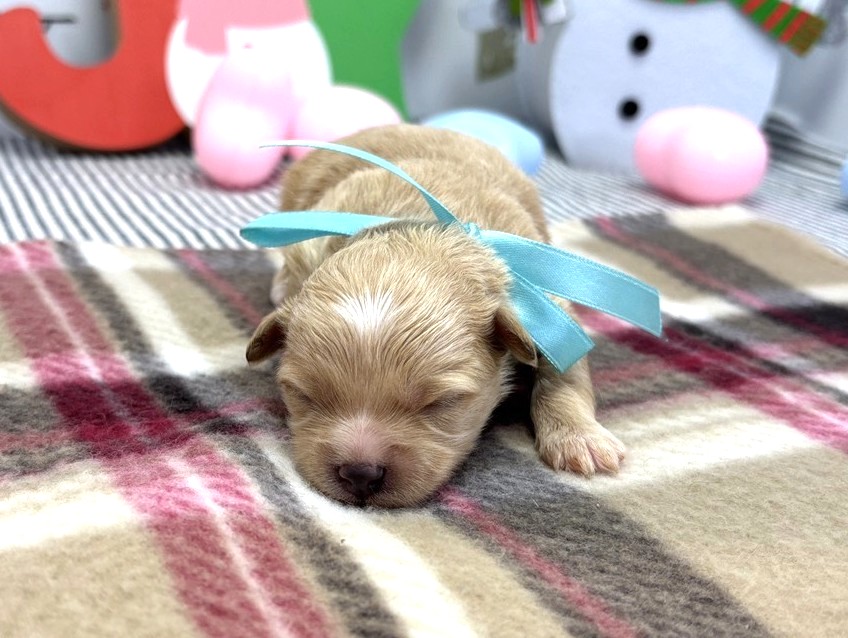 赤ちゃん写真1-1