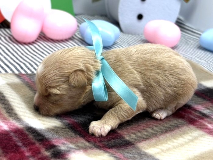 赤ちゃん写真1-2