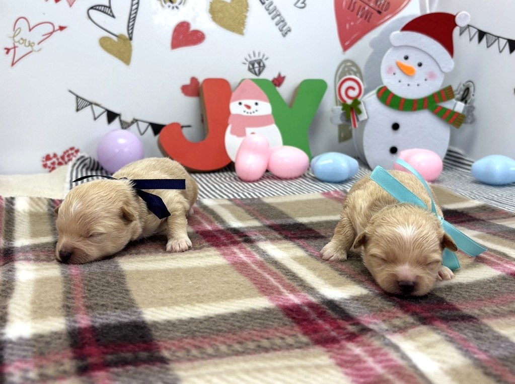 赤ちゃん写真1-3