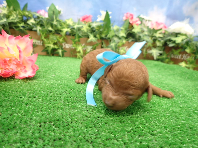 赤ちゃん写真1-1