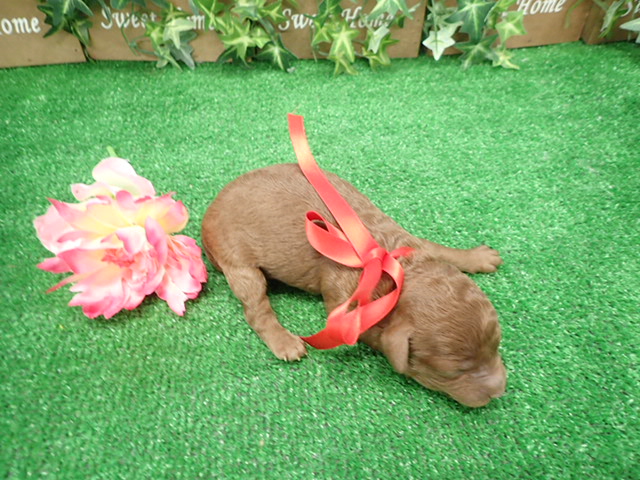 赤ちゃん写真1-3
