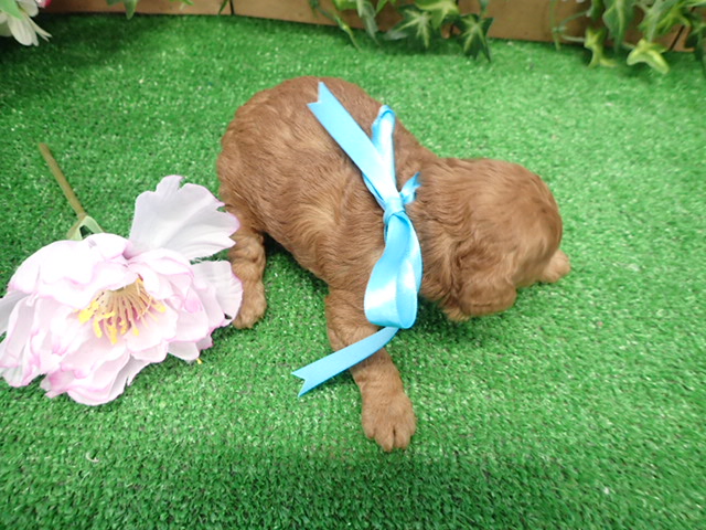 赤ちゃん写真2-3