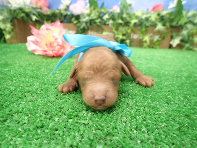 赤ちゃん写真1-1