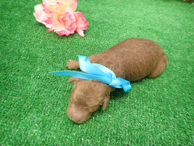 赤ちゃん写真1-3