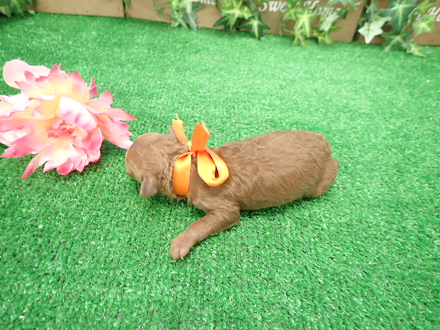 赤ちゃん写真1-3