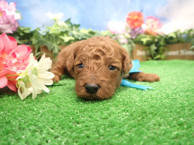 赤ちゃん写真2-1