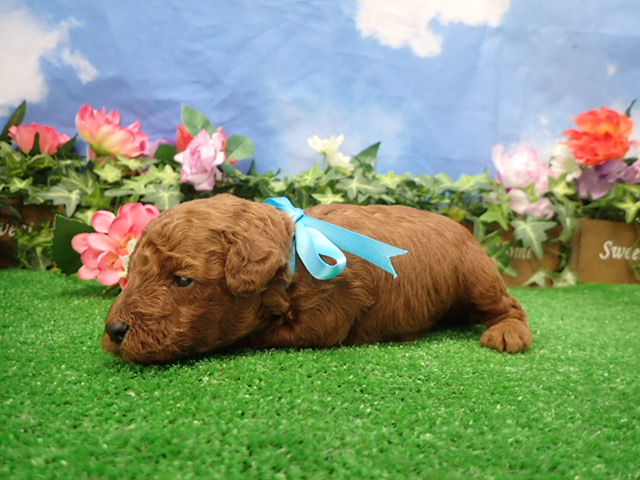 赤ちゃん写真2-2