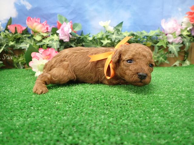 赤ちゃん写真2-2