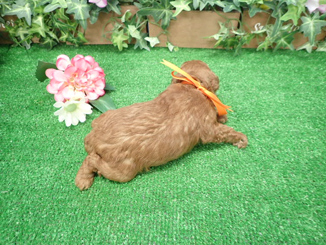 赤ちゃん写真2-3