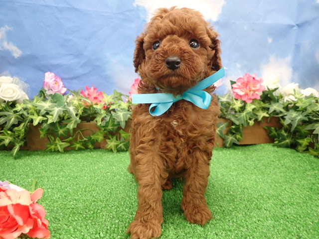 赤ちゃん写真3-1