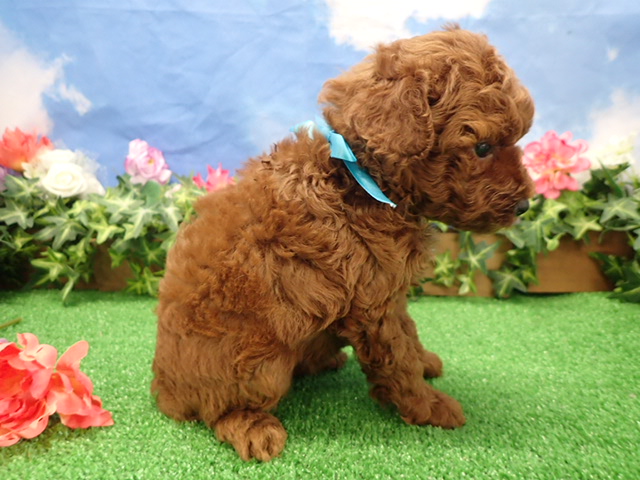 赤ちゃん写真3-2