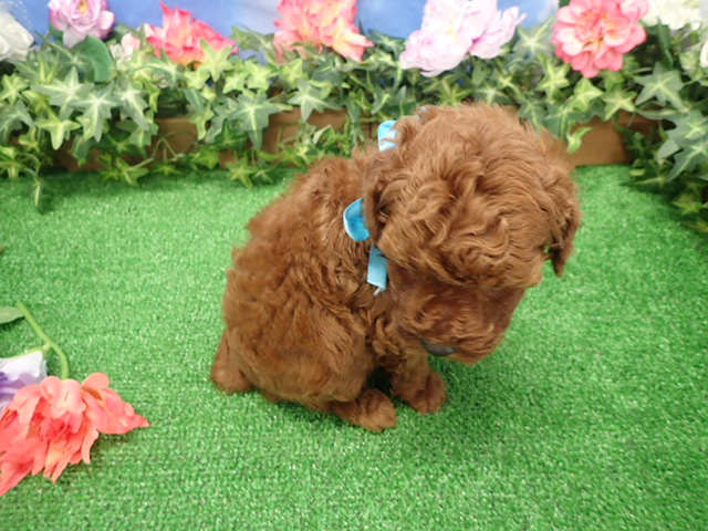 赤ちゃん写真3-3