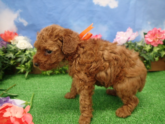 赤ちゃん写真3-2