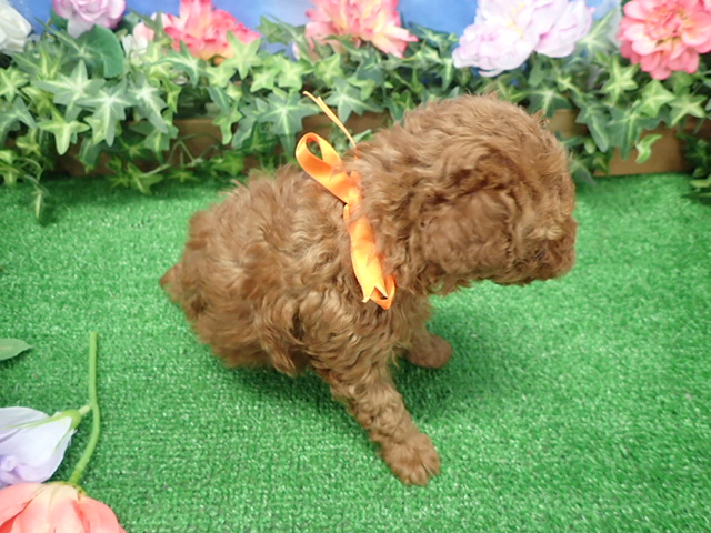 赤ちゃん写真3-3