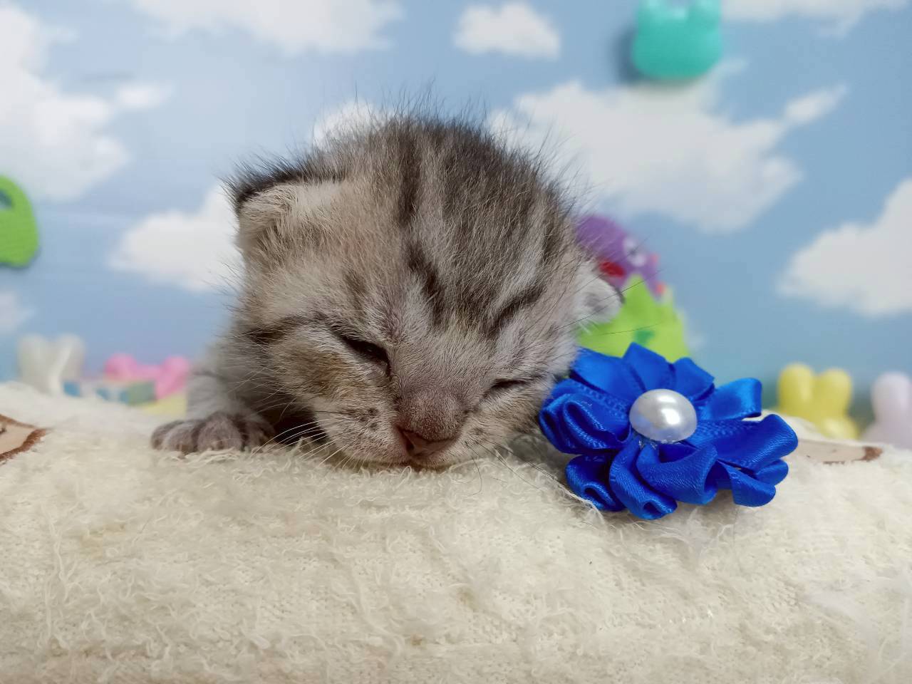 赤ちゃん写真1-1
