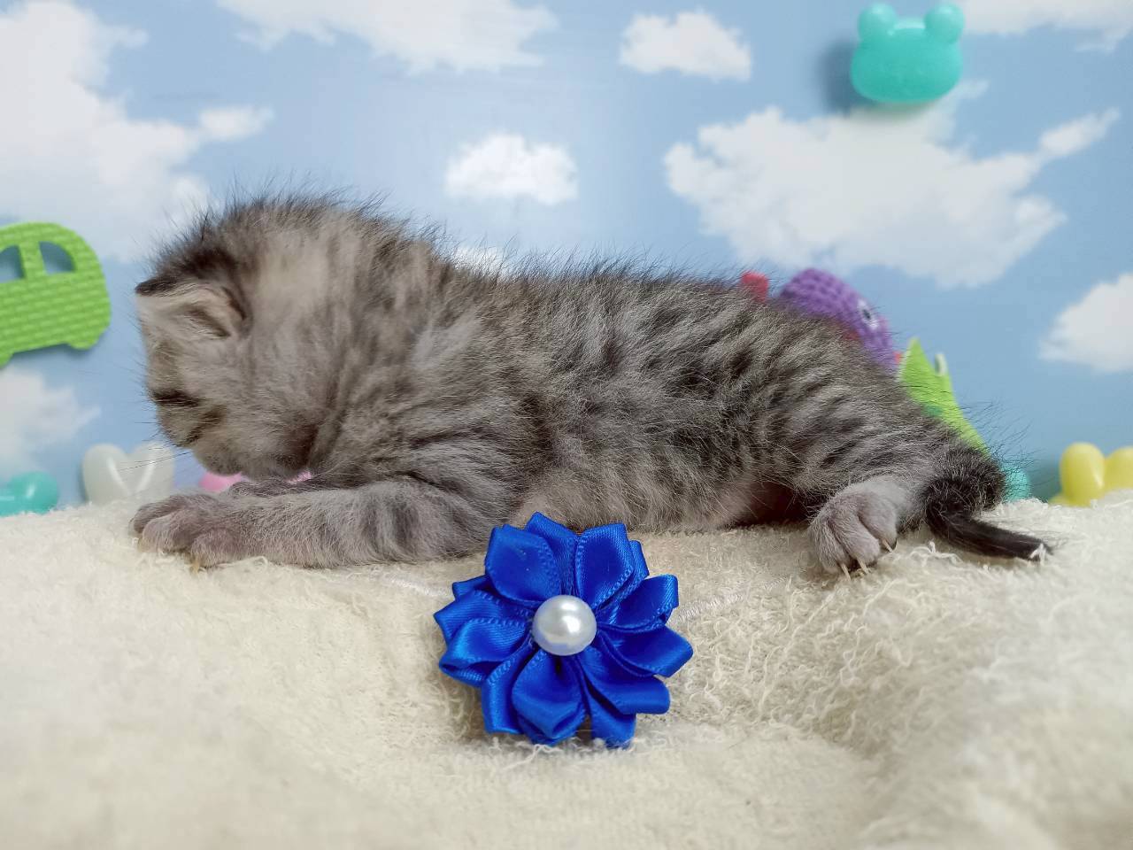 赤ちゃん写真1-2