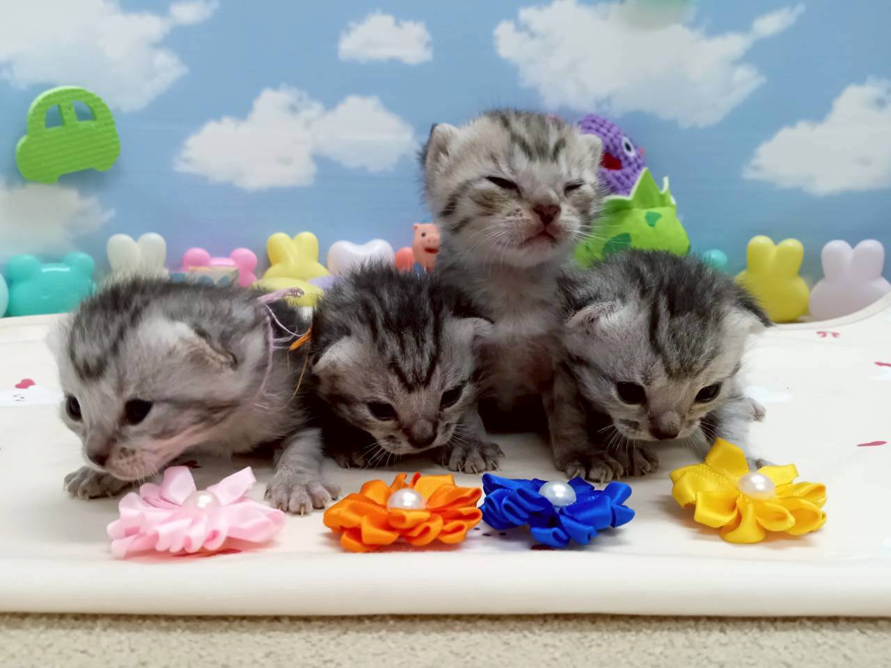 赤ちゃん写真1-3