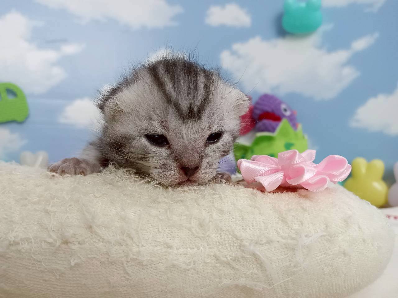 赤ちゃん写真1-1