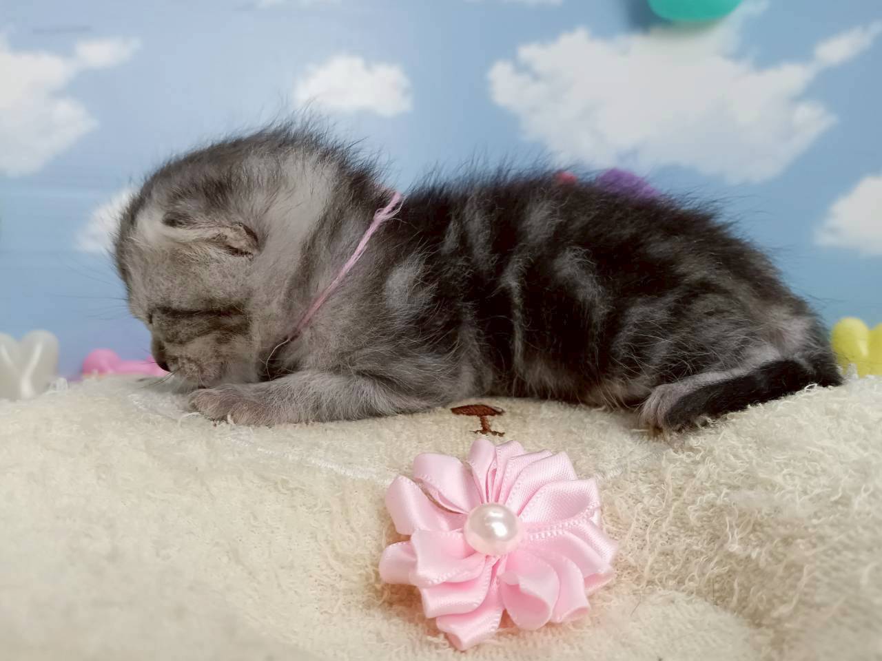 赤ちゃん写真1-2