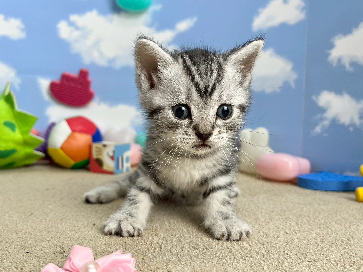 赤ちゃん写真2-1