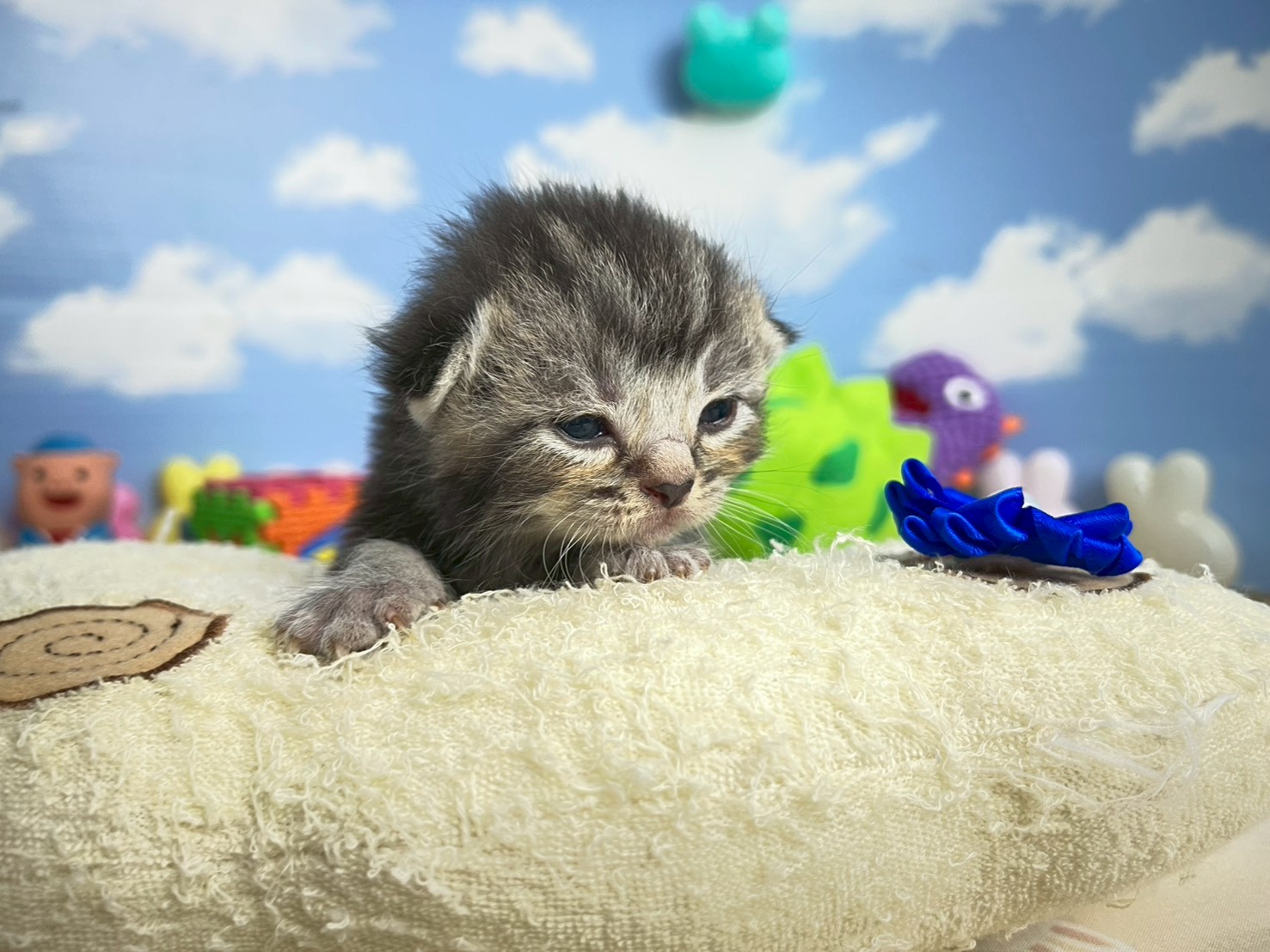 赤ちゃん写真1-1