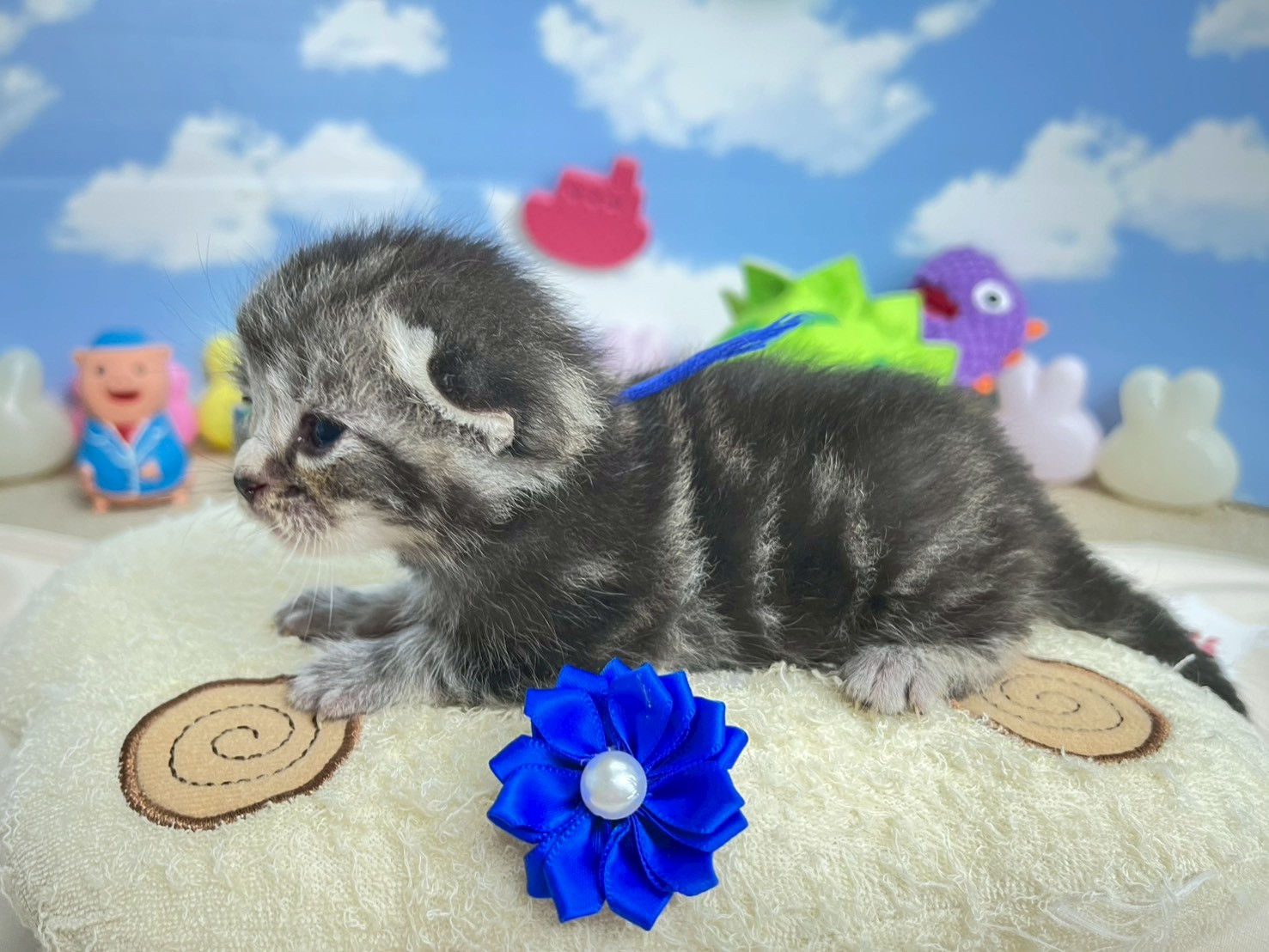 赤ちゃん写真1-2