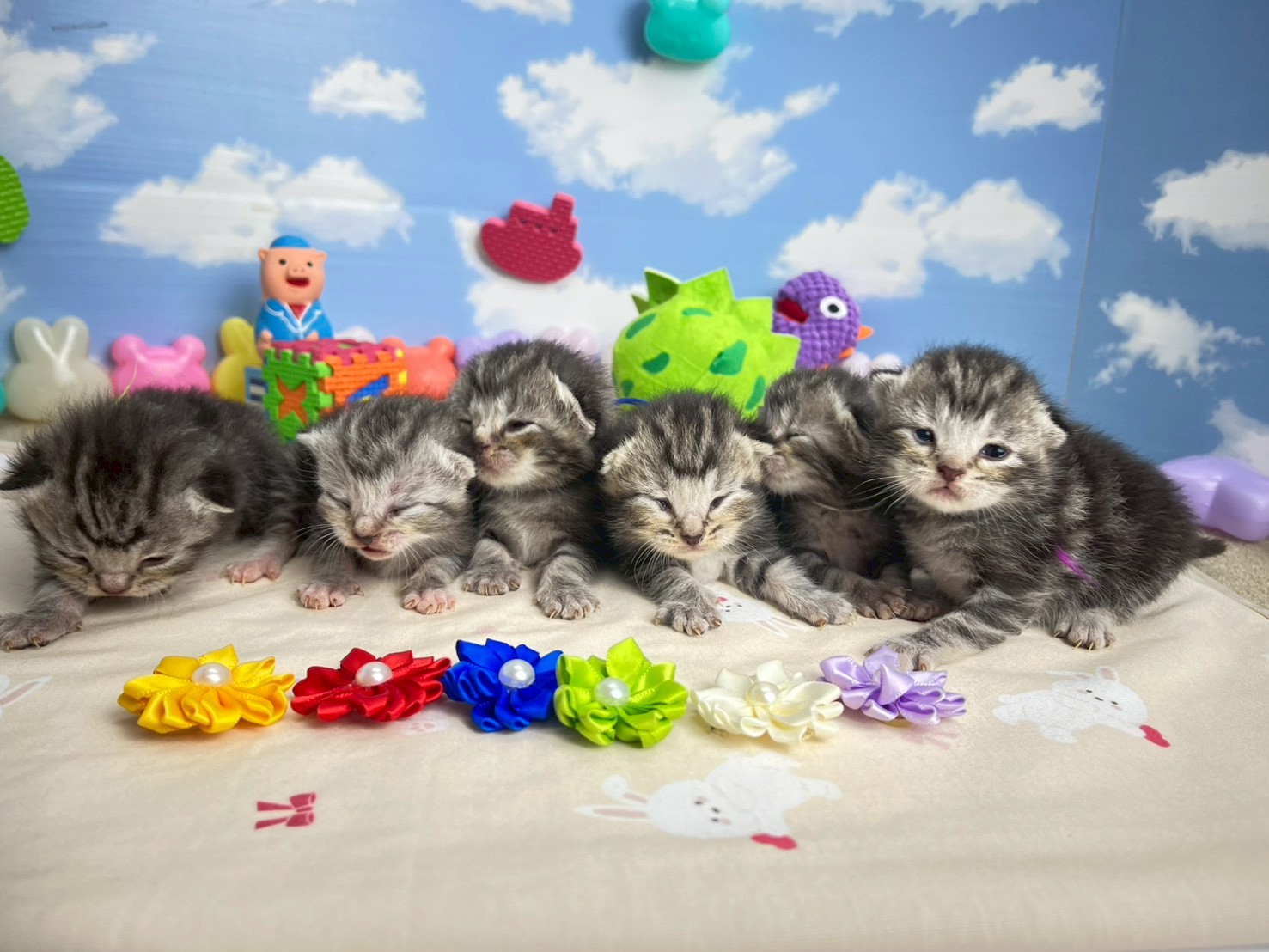 赤ちゃん写真1-3