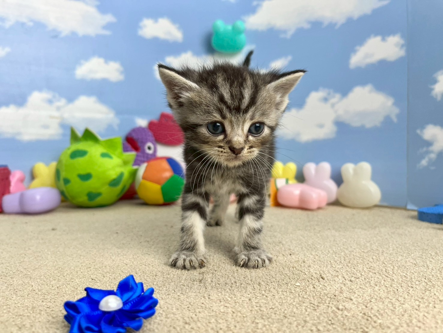 赤ちゃん写真2-1