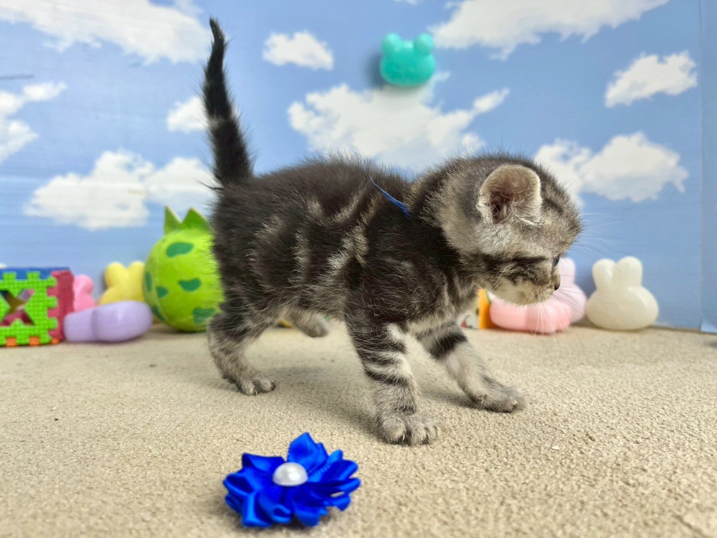 赤ちゃん写真2-2