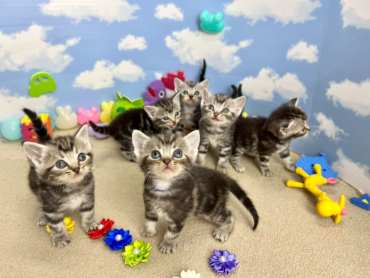 赤ちゃん写真2-3