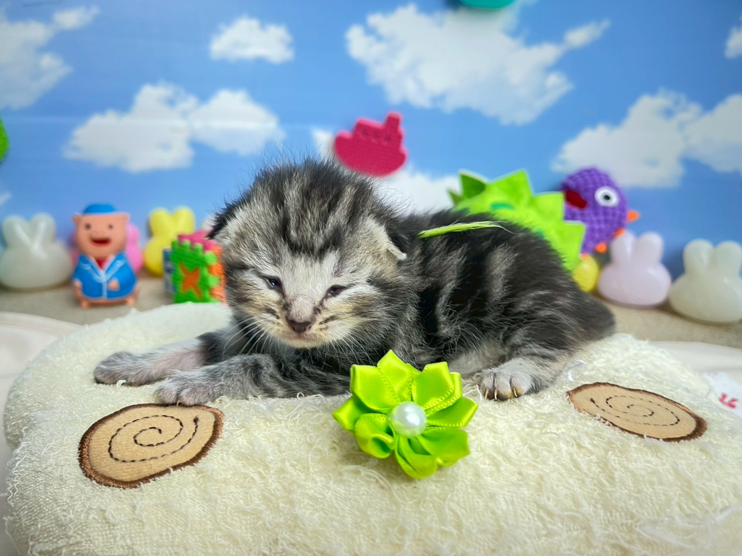 赤ちゃん写真1-2