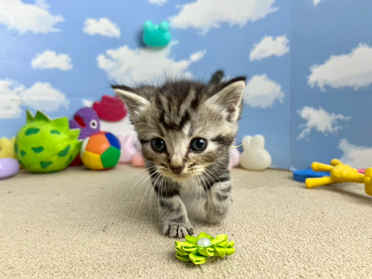 赤ちゃん写真2-1