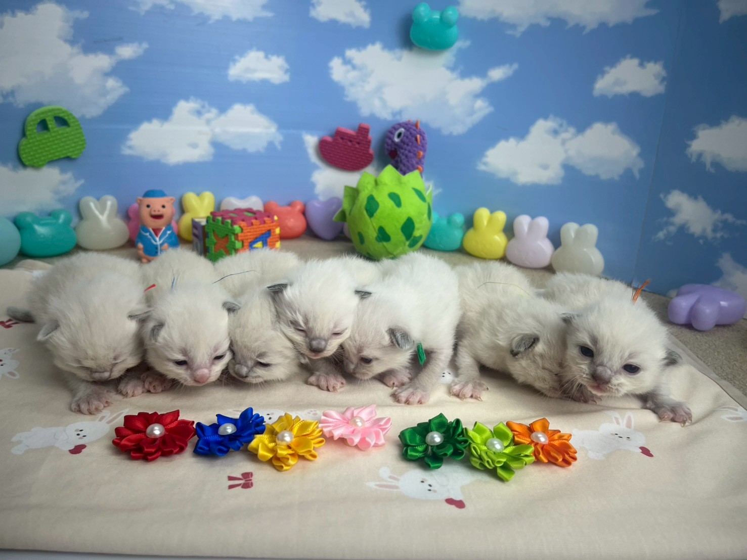 赤ちゃん写真1-3