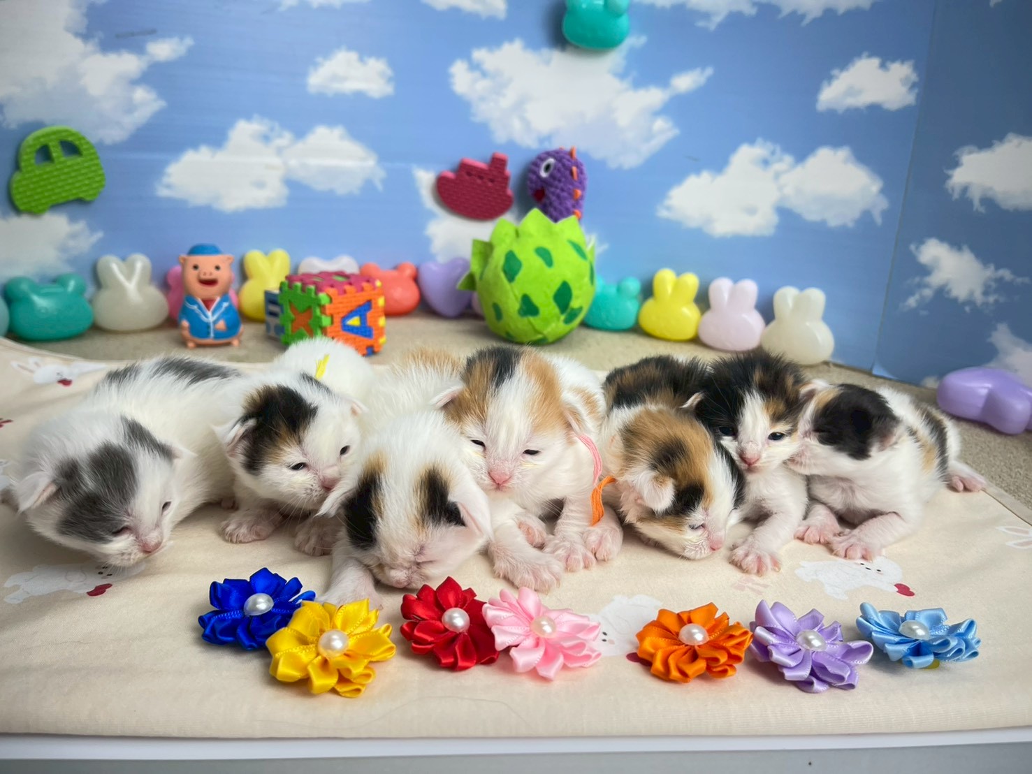 赤ちゃん写真1-3