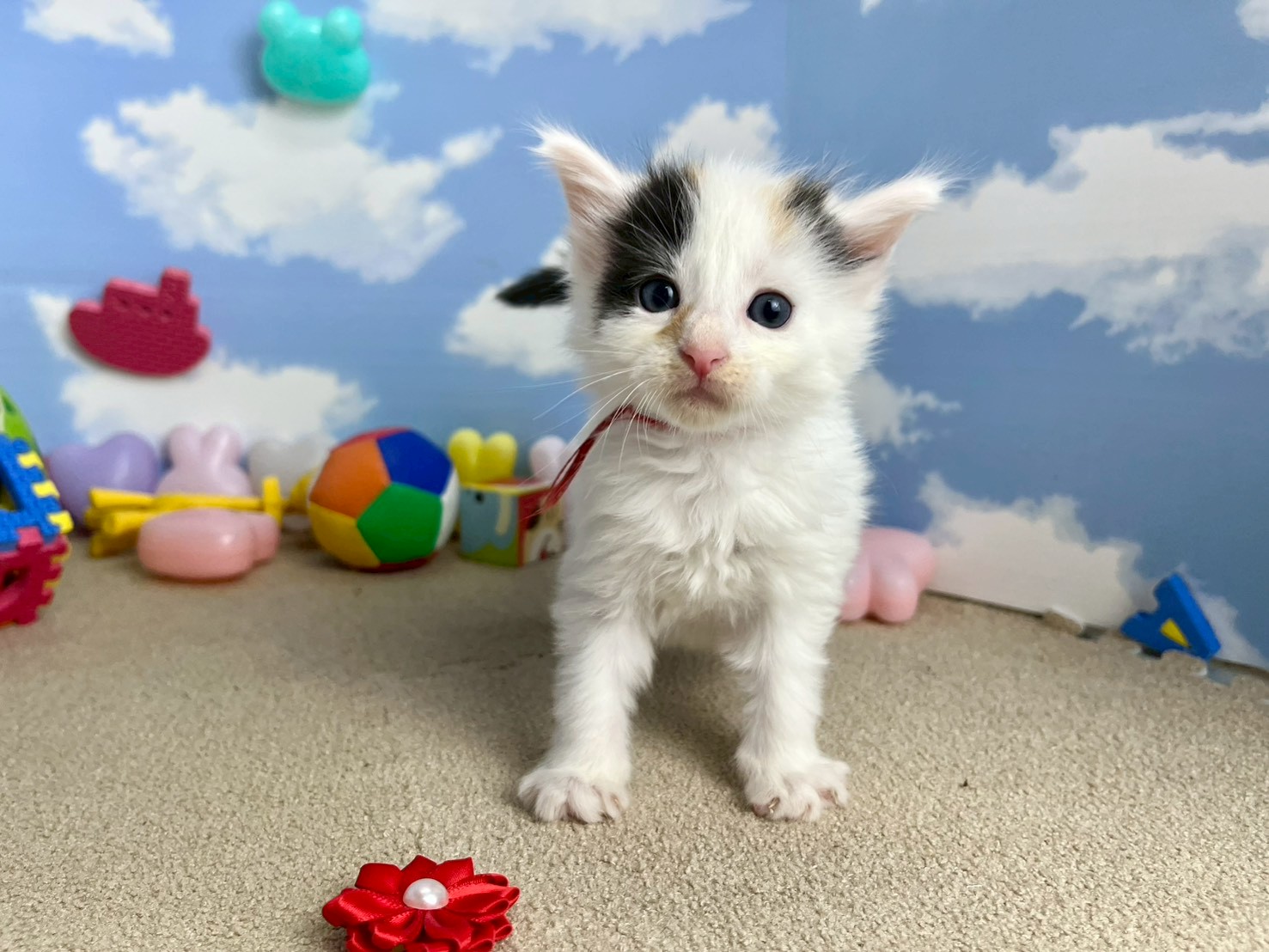 赤ちゃん写真2-1