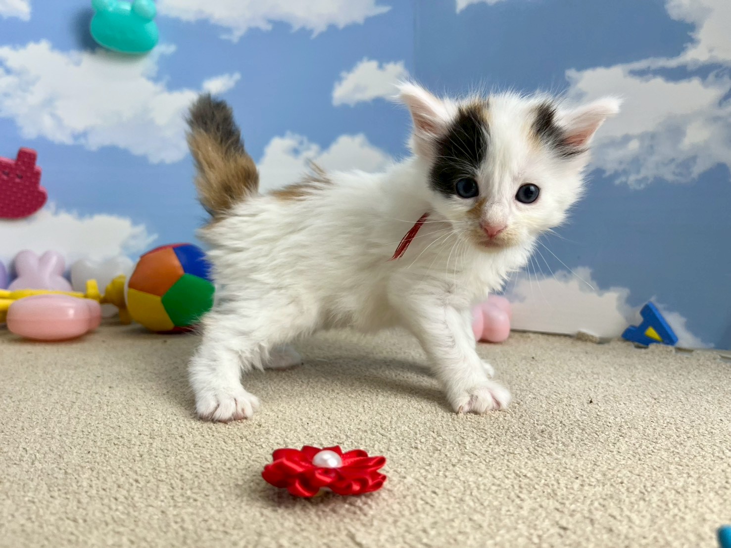 赤ちゃん写真2-2