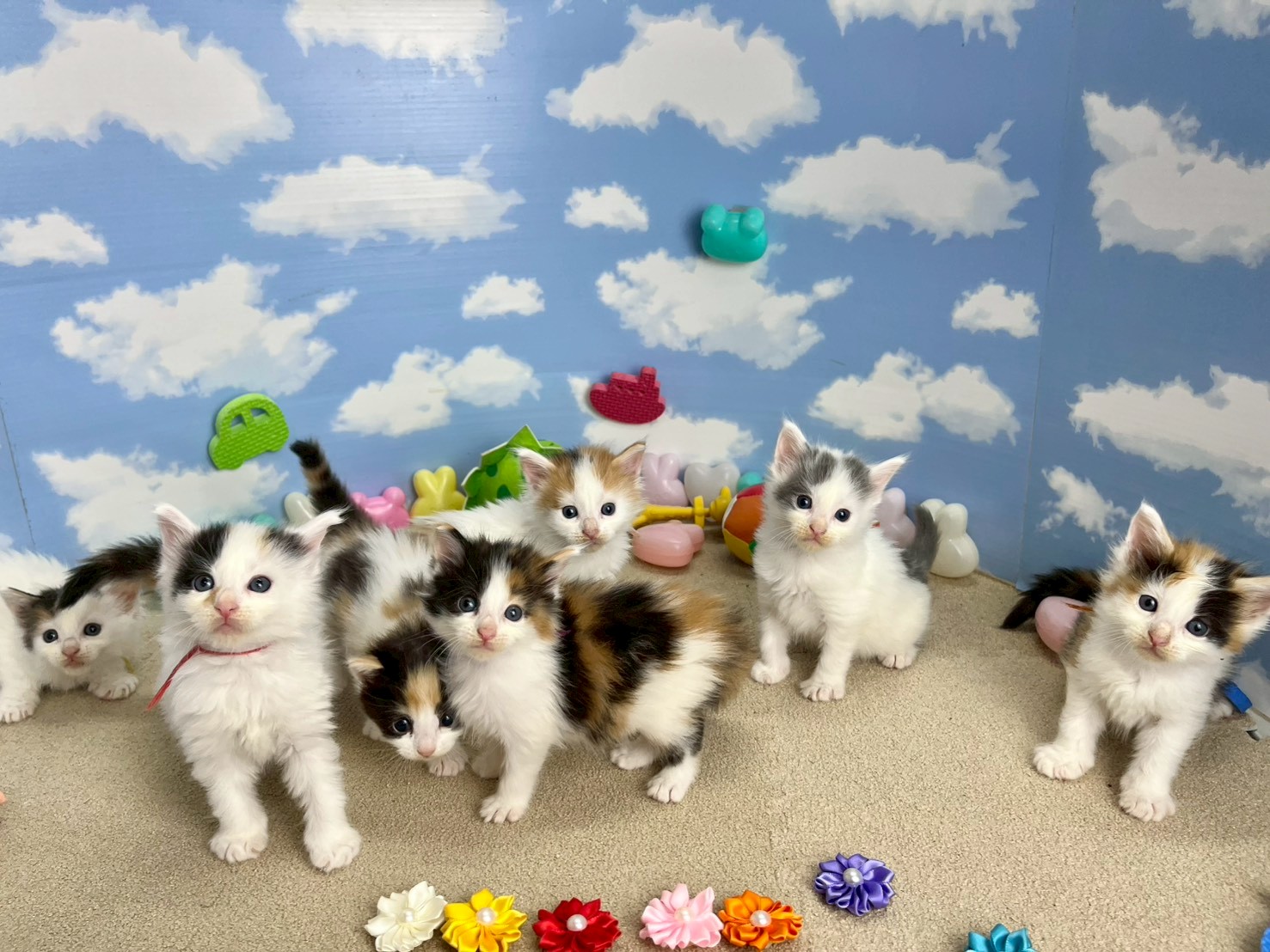 赤ちゃん写真2-3