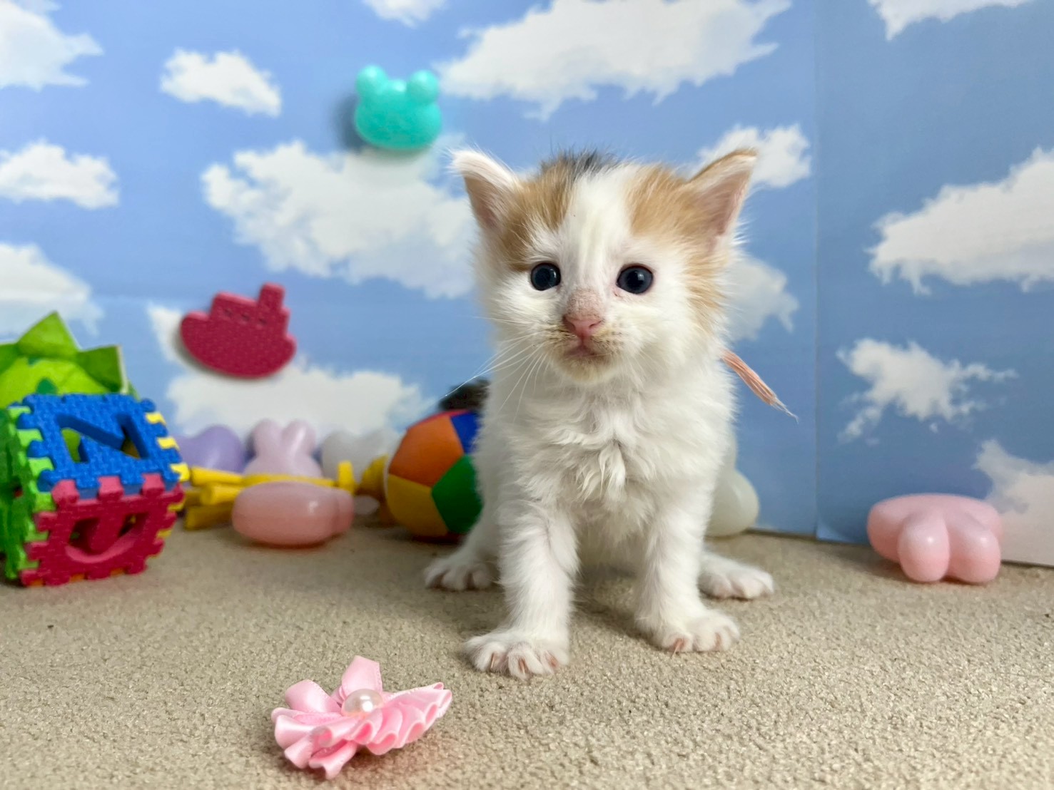 赤ちゃん写真2-1