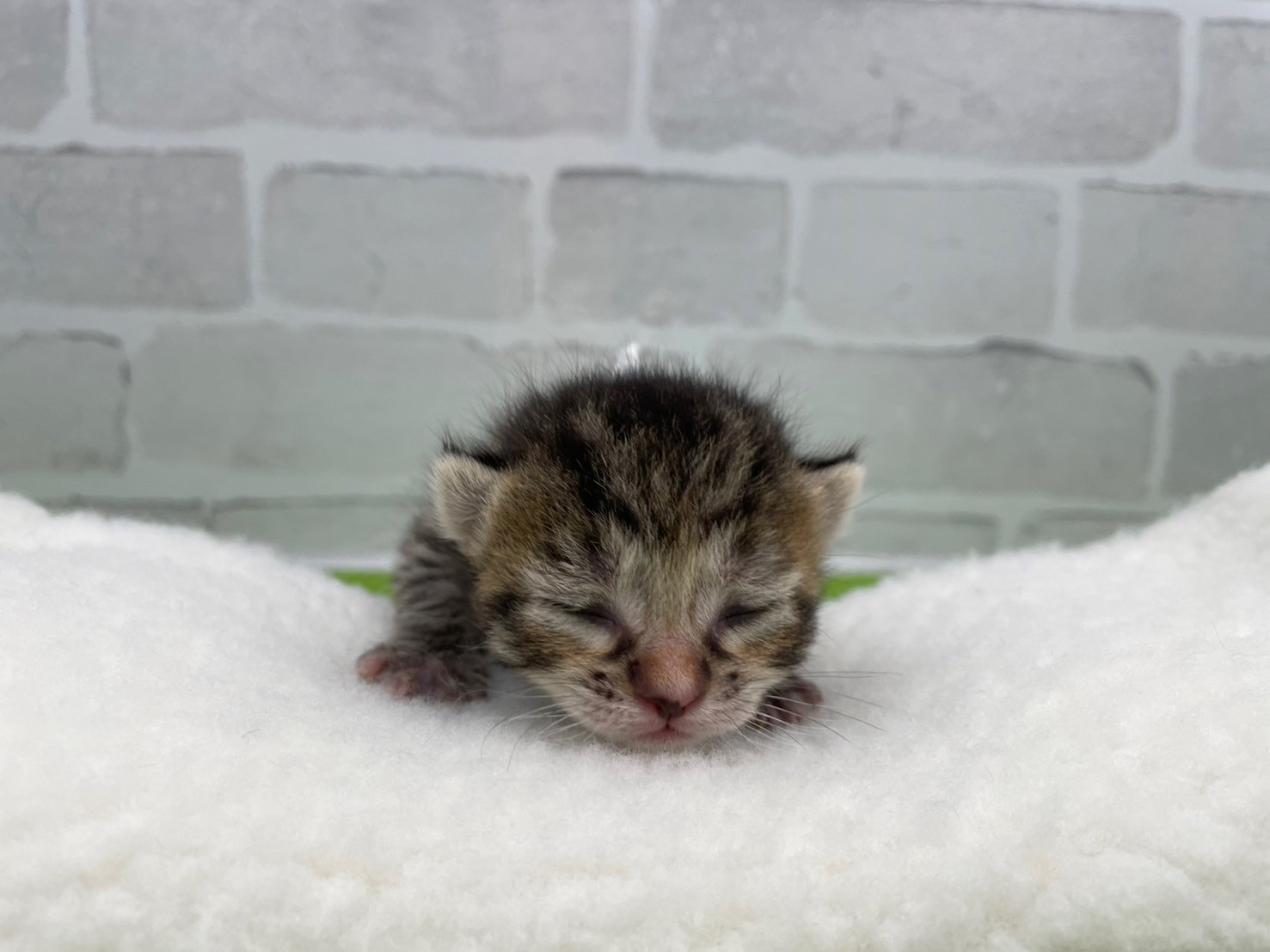 赤ちゃん写真1-1