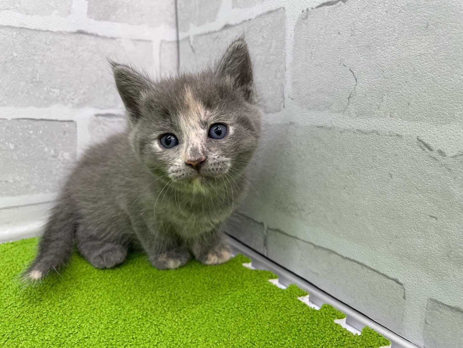 赤ちゃん写真2-1