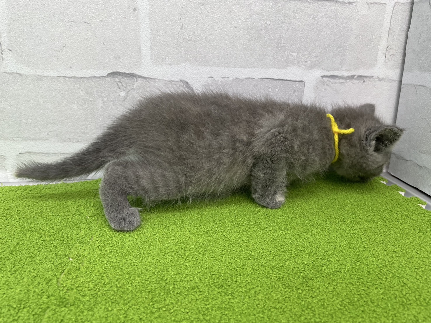 赤ちゃん写真2-2