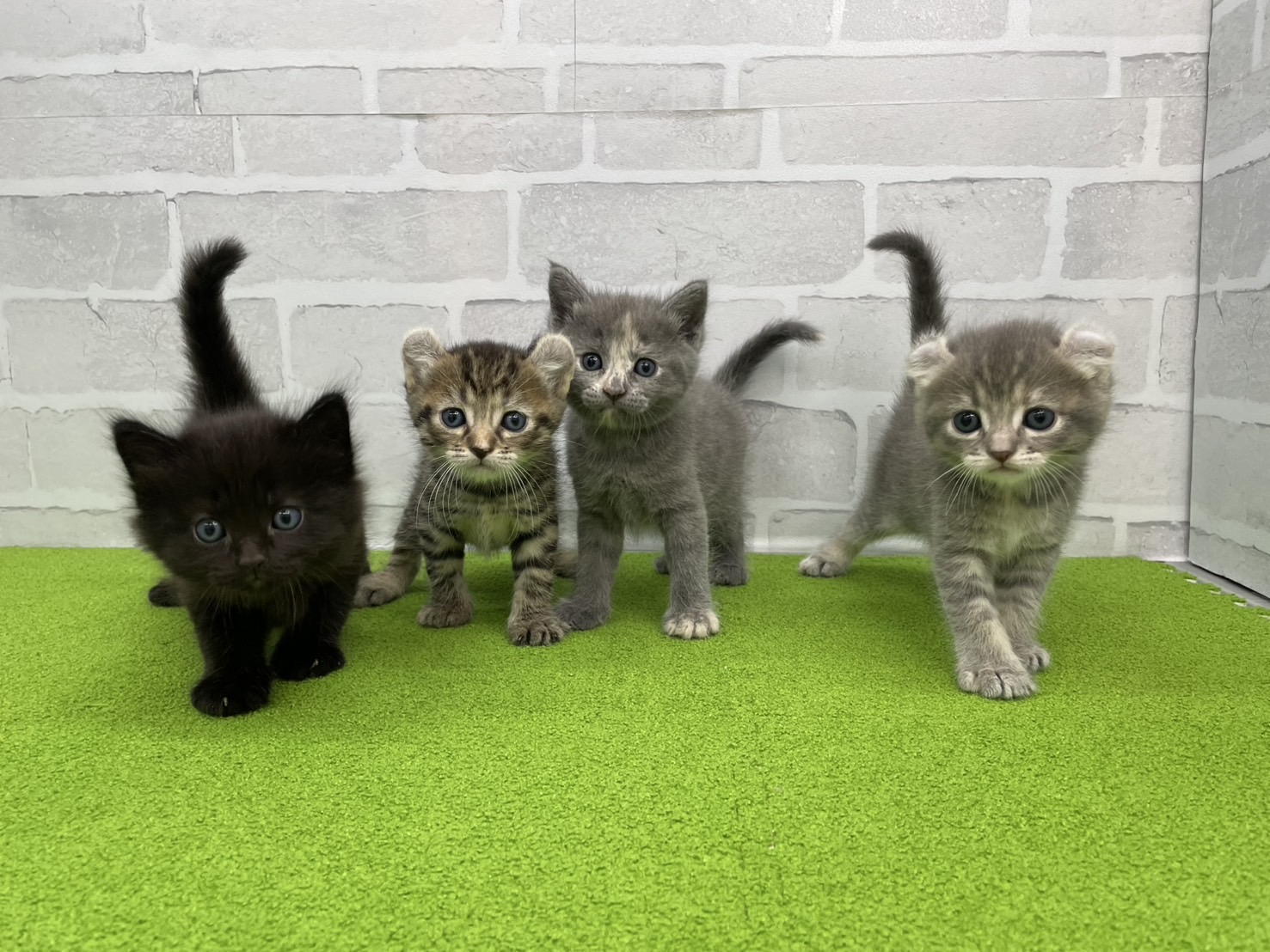 赤ちゃん写真2-3